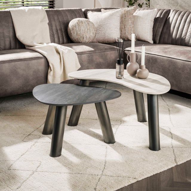 Salontafel Twin organisch set/2