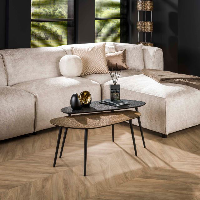 Salontafel Metallic niervormig set/2