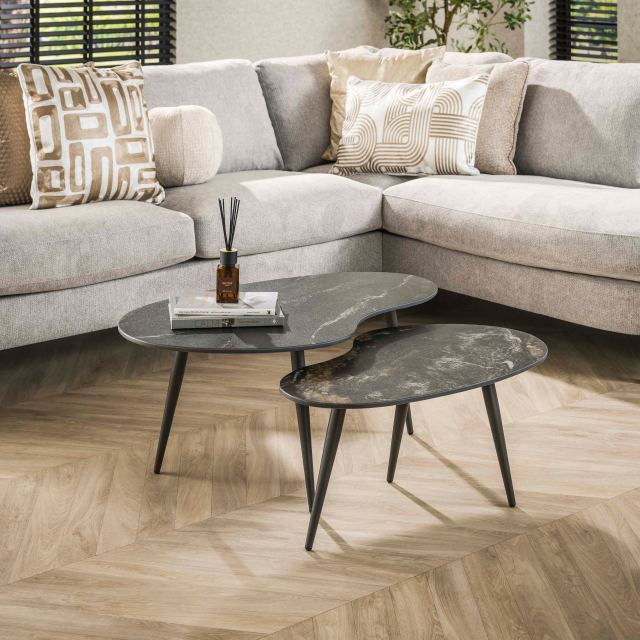 Salontafel Fossil niervormig set/2 – afbeelding 2