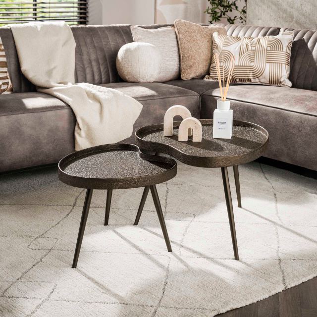 Salontafel Niervormig set/2